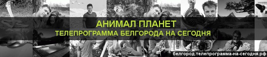 Телепрограмма на сегодня канала Анимал Планет, Белгород