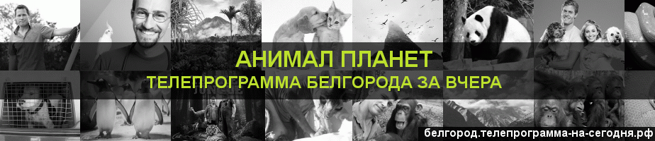 Телепрограмма за вчера канала Анимал Планет, Белгород