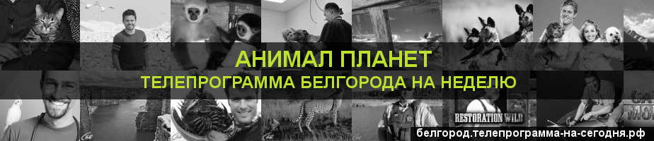 Телепрограмма на неделю канала Анимал Планет, Белгород