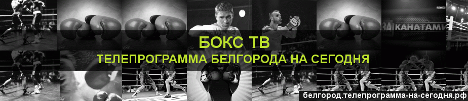 Телепрограмма на сегодня канала Бокс ТВ, Белгород