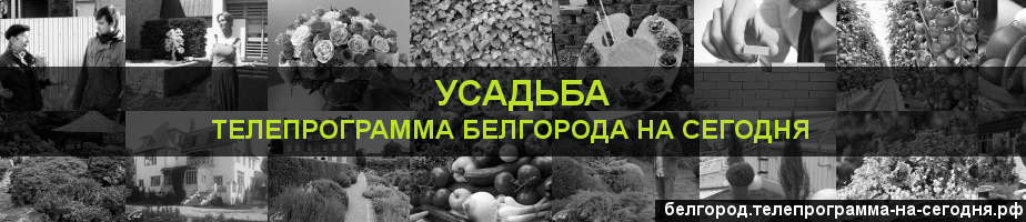 Телепрограмма на сегодня канала Усадьба, Белгород
